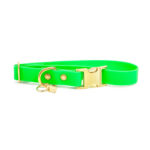 Pop Dog Collier Chien Vert Elégant