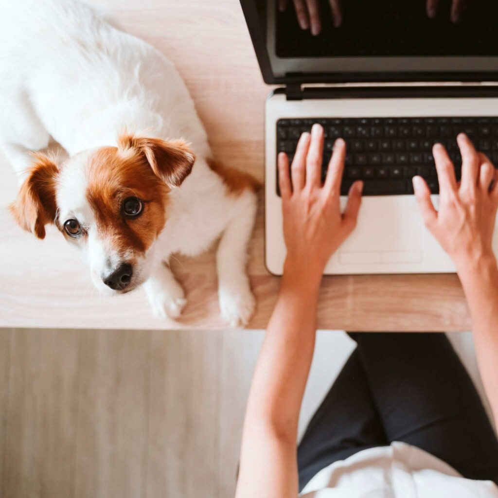 un homme et son chien