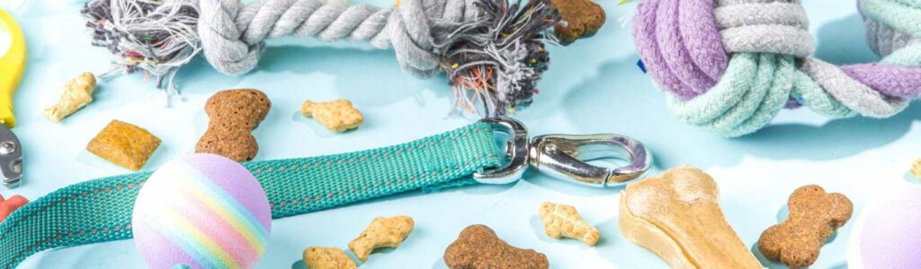 accessoires indispensables pour l'adoption d'un chiot