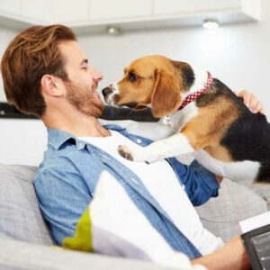 assurance santé animale ou mutuelle pour chiens et chats