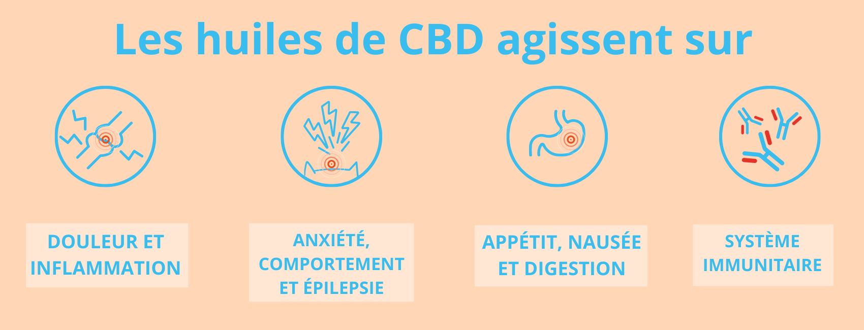 Bienfaits du CBD sur la santé du chien et du chat