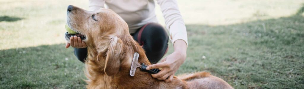 bienfaits huile de krill chien