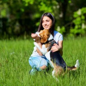 un chien peut-il attraper un coup de soleil ?