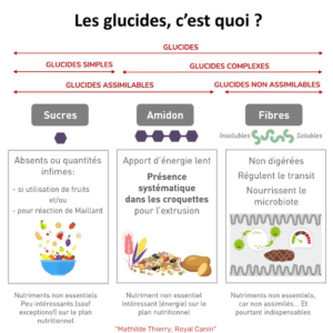 définition  des glucides dans les croquettes pour chiens