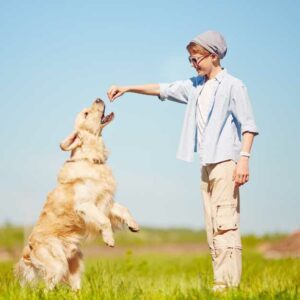 différents types de récompenses pour chien