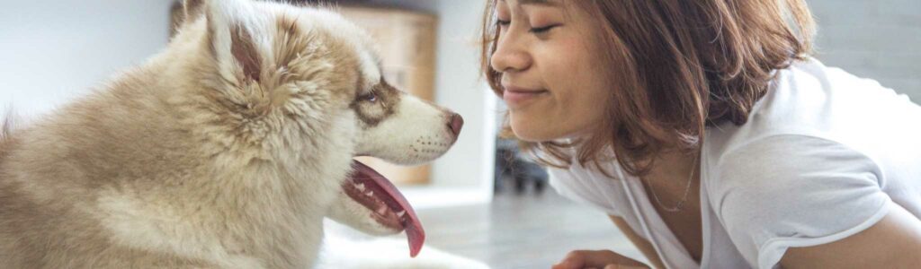 épilepsie essentielle du chien