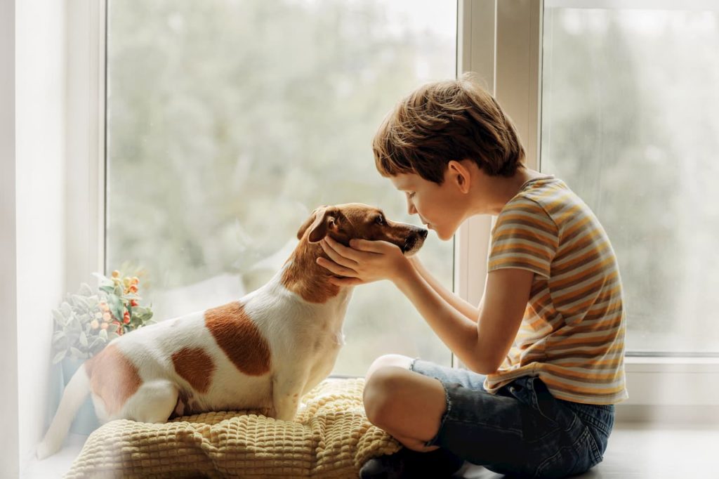 maladies chien dangeureuses pour l'homme