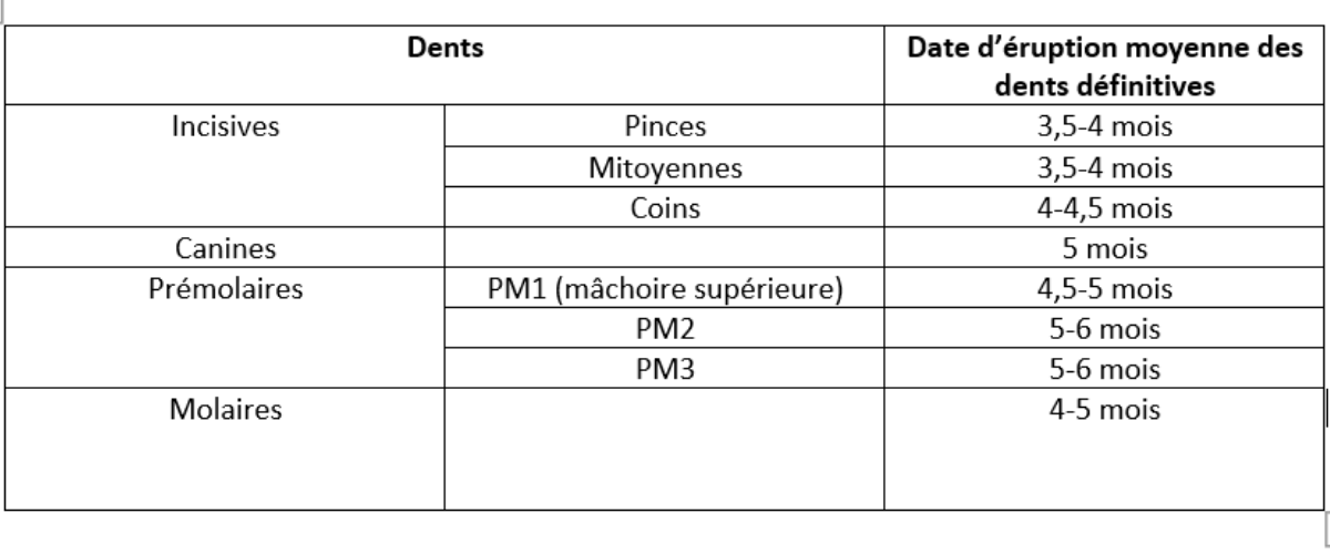 tableau pousse dents définitives chat