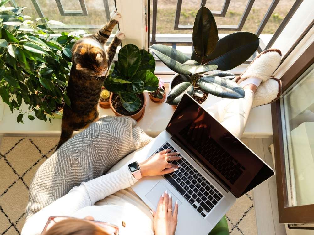 une femme et son chat devant un ordinateur