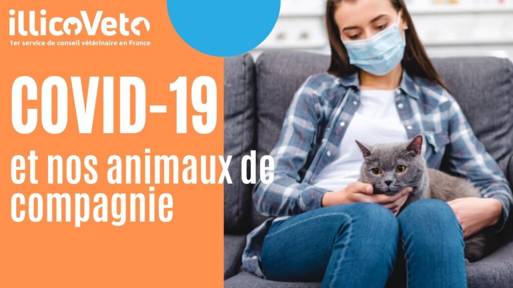 Covid-19 et nos animaux de compagnie